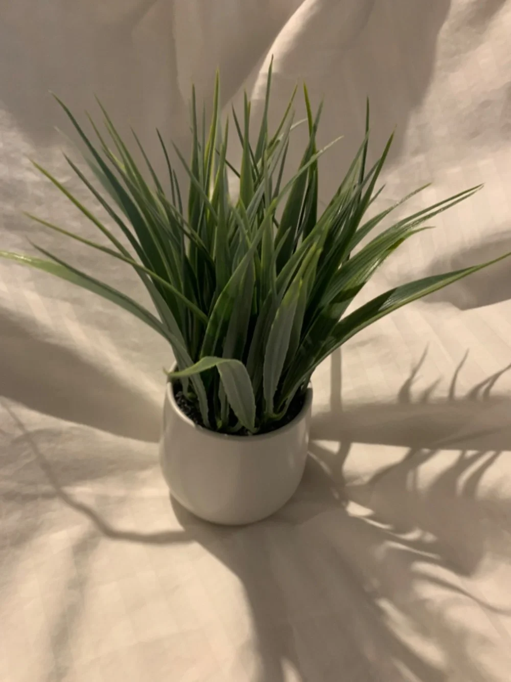 Small Faux Plants